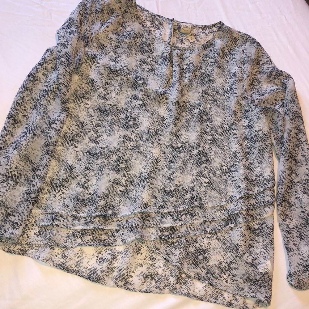 Snake print sheer blouse